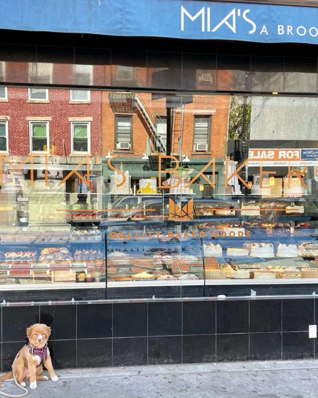 Mia's Brooklyn Bakery