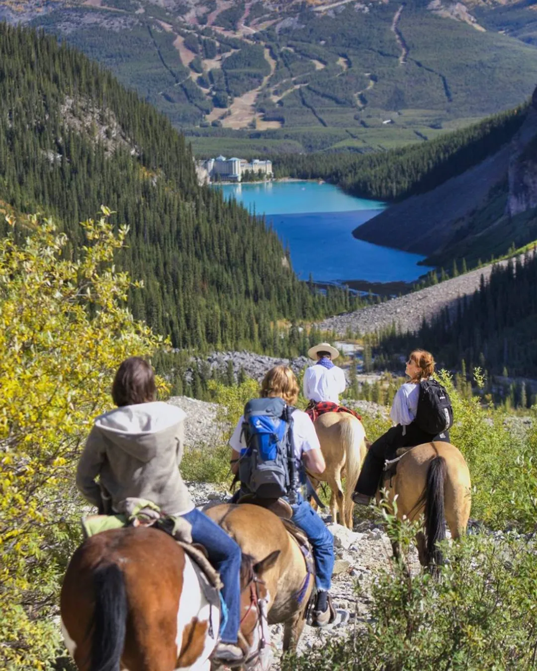 Brewsters Lake Louise Stables - Banff National Park, Canada - Rexby