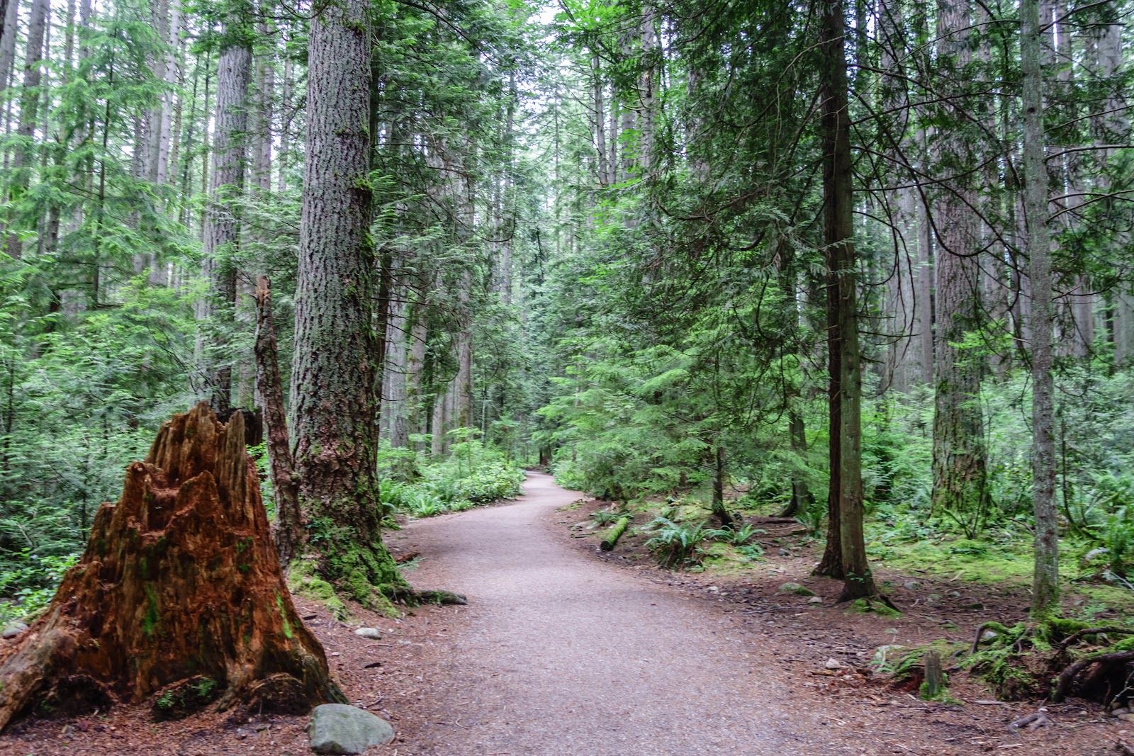 Pacific Spirit Regional Park