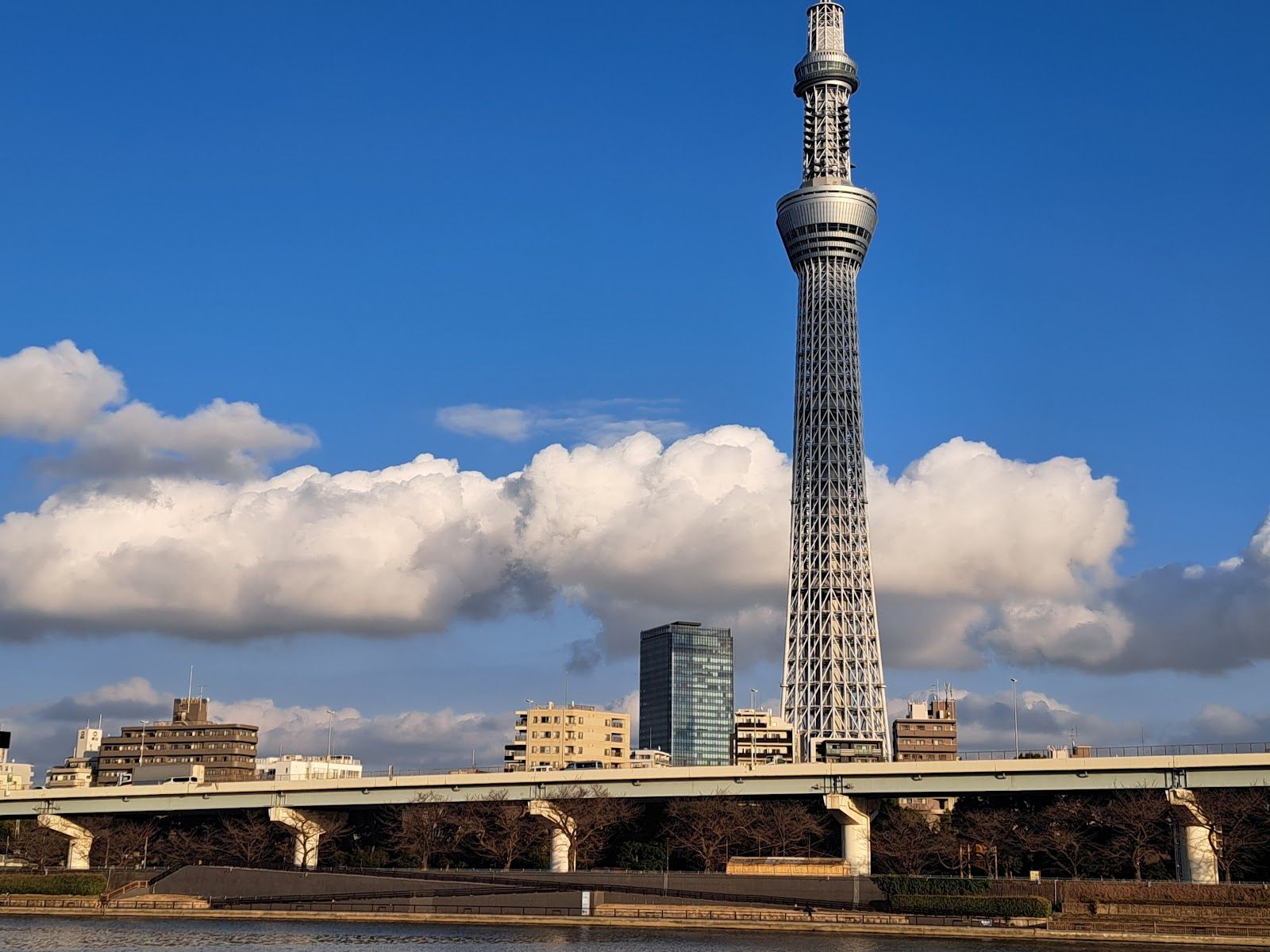 Sumida Park - Japan - Rexby