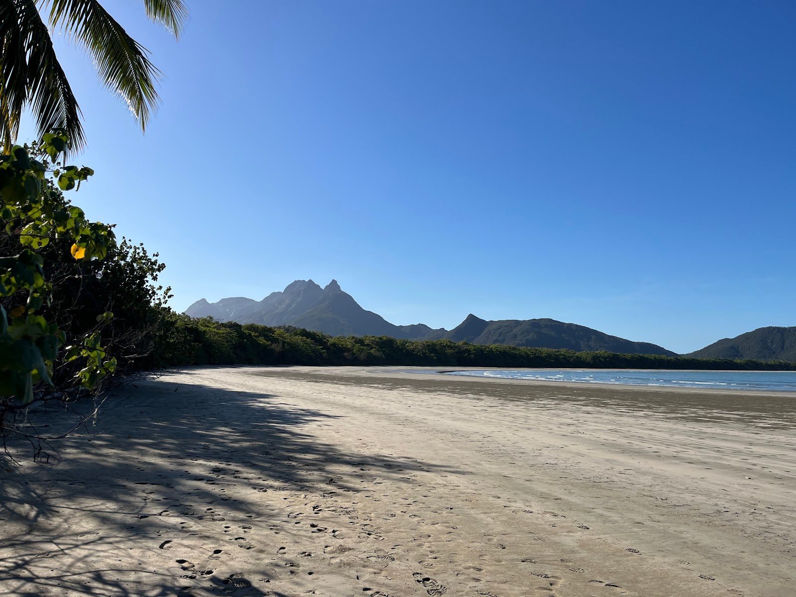 Zoe Bay