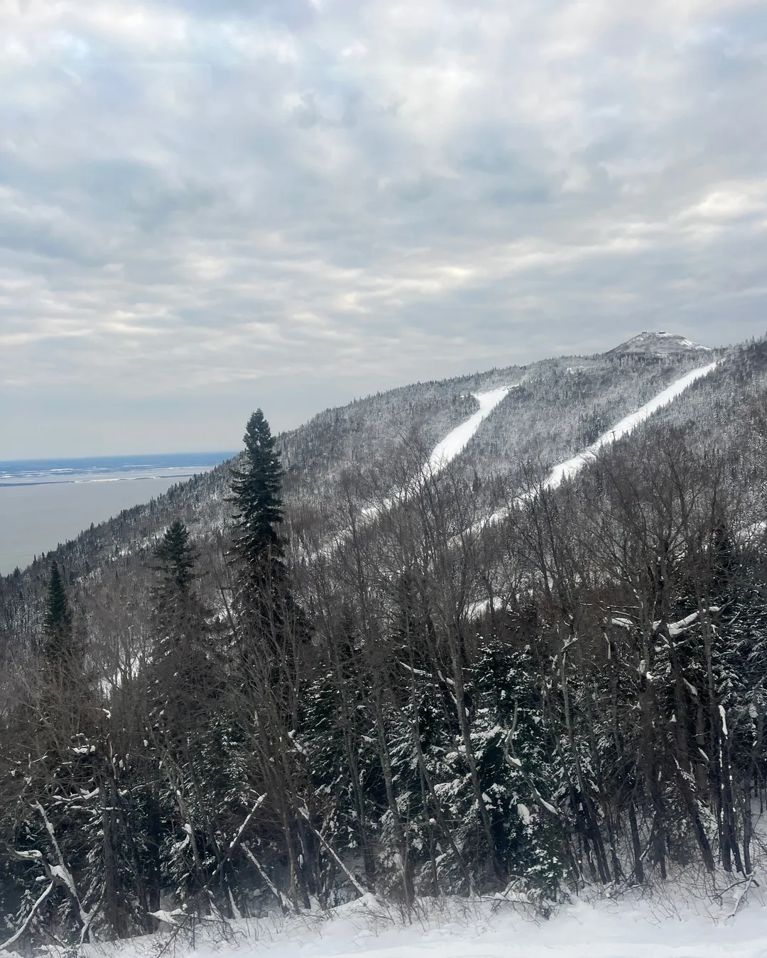 Ski Le Massif