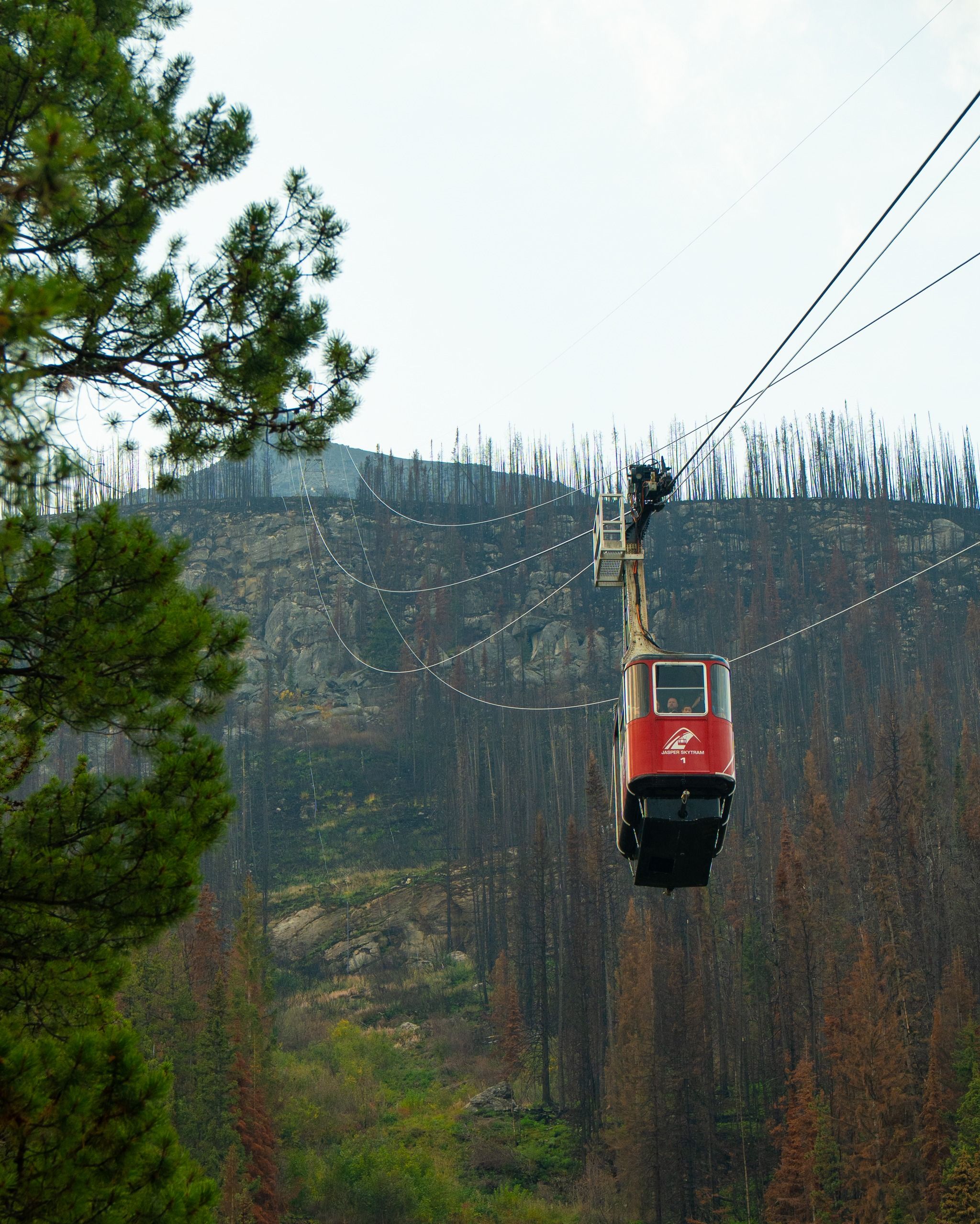 Jasper SkyTram