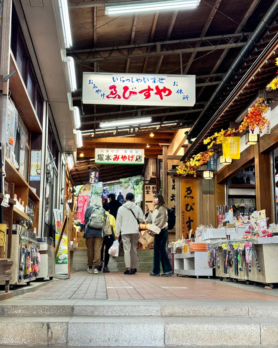 Koma-sando （Mt. Oyama)