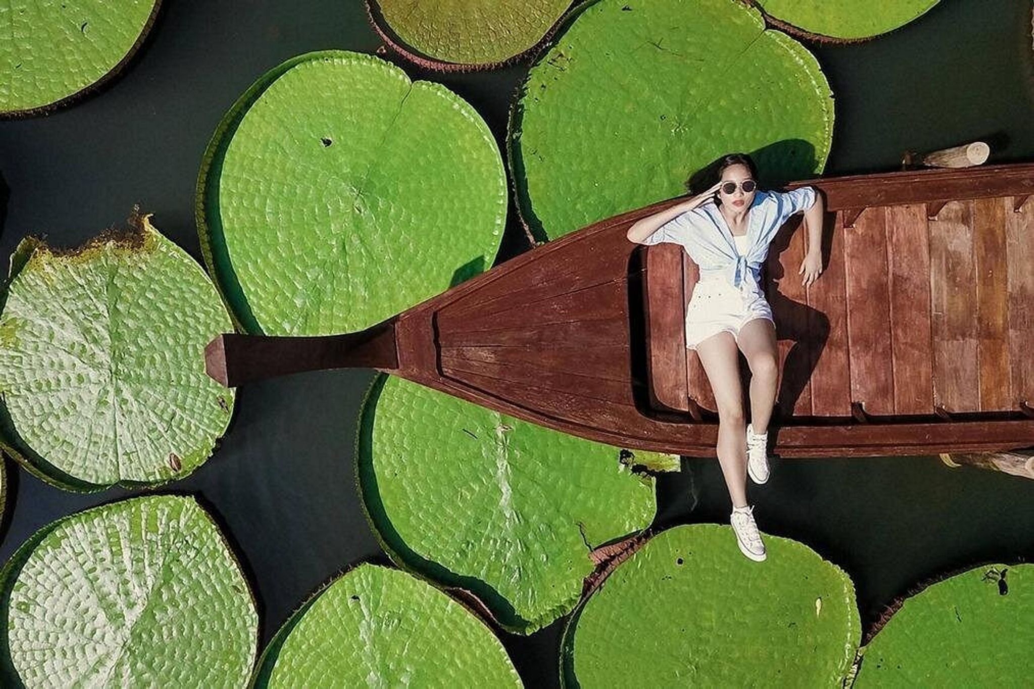 Phuket Giant Water Lilies & Temple Tour - Private 