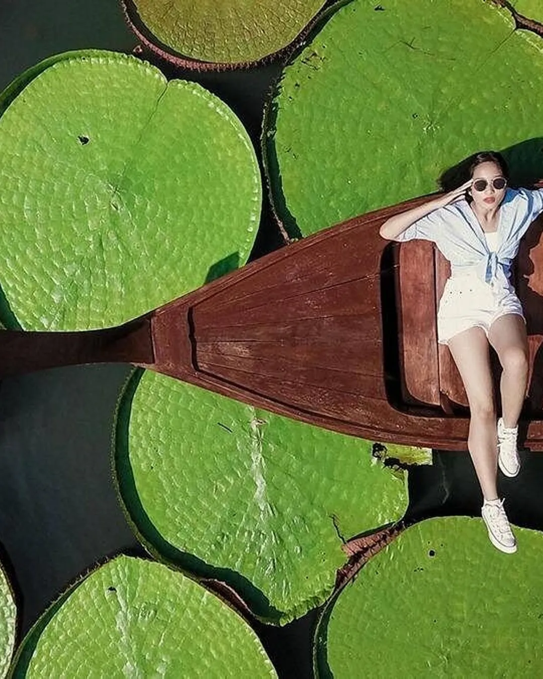 Phuket Giant Water Lilies & Temple Tour - Private 