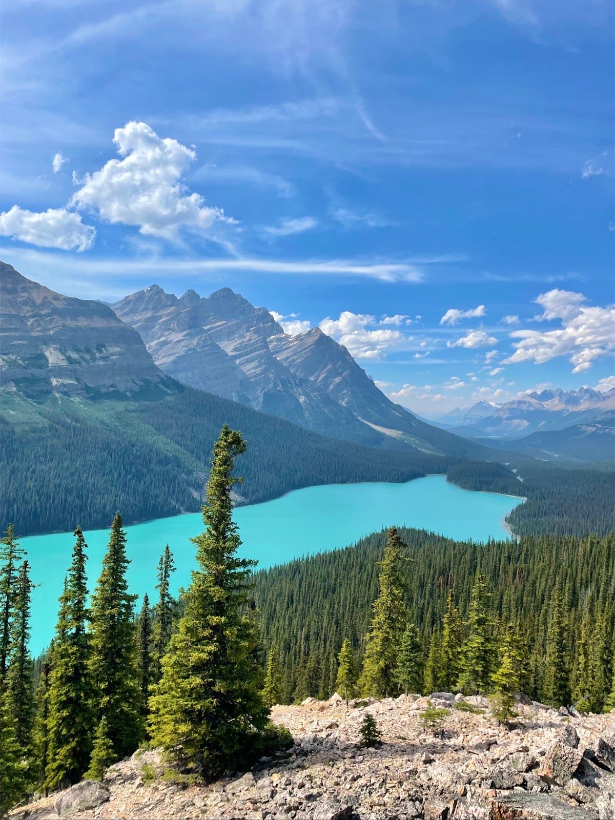 Peyto Lake