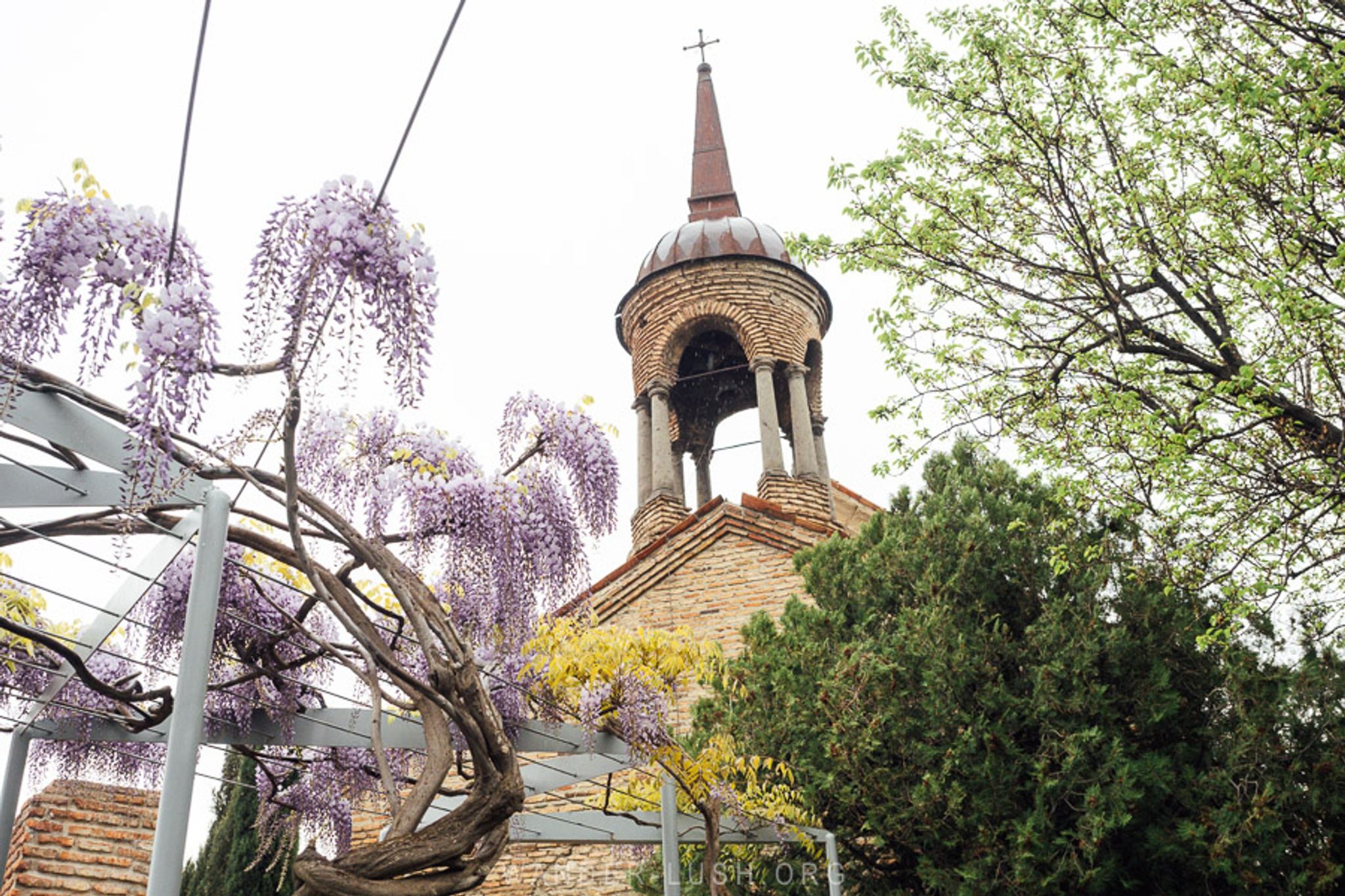 Queen Darejan's Palace