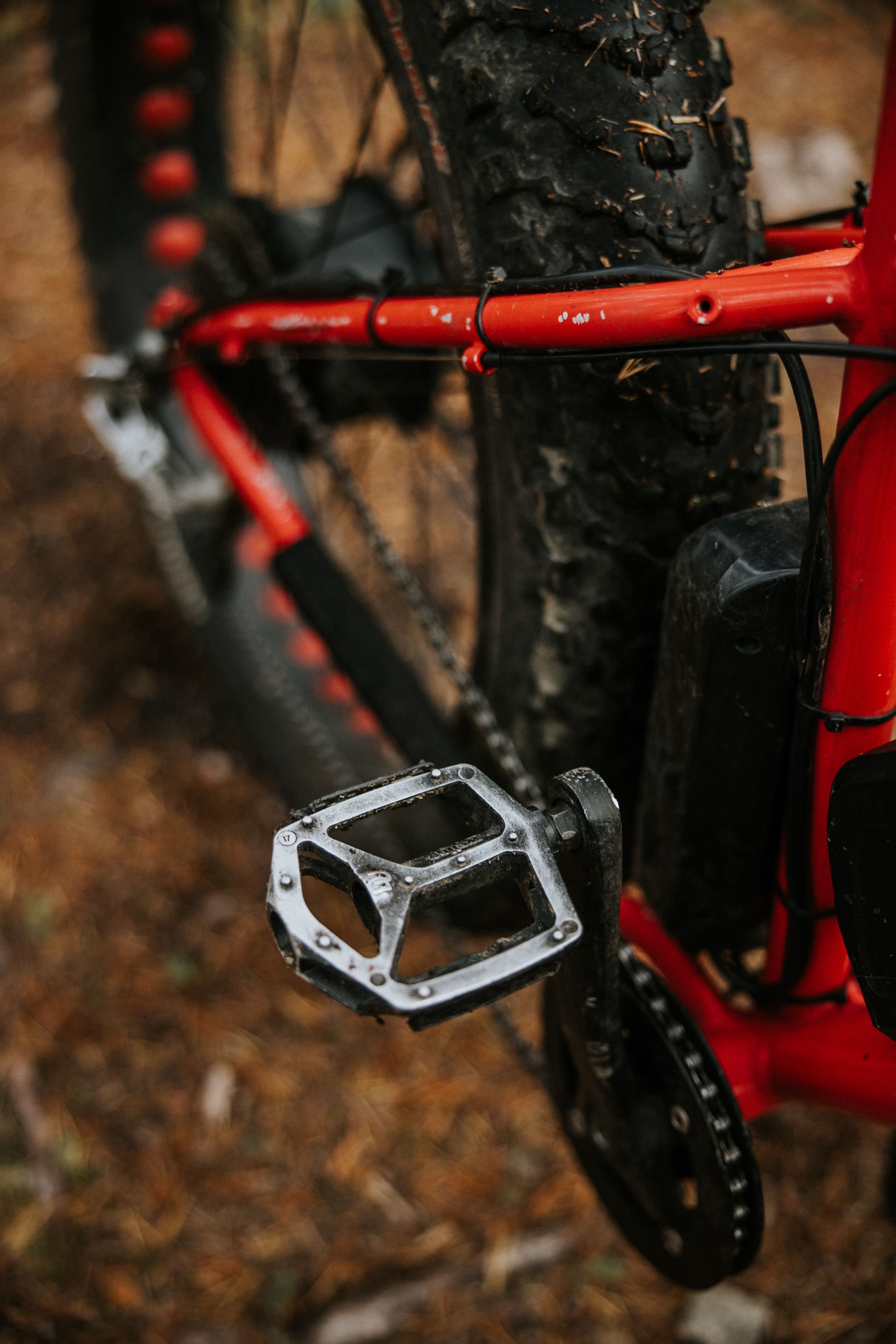 Lapland Safaris Rovaniemi