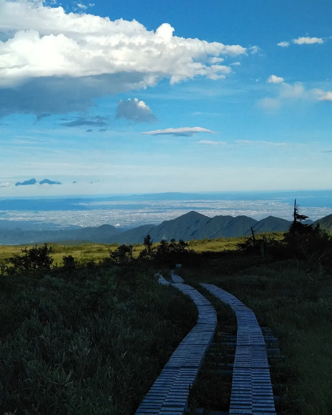 Tateyama-bay / H,Murayama 106 X 75cm