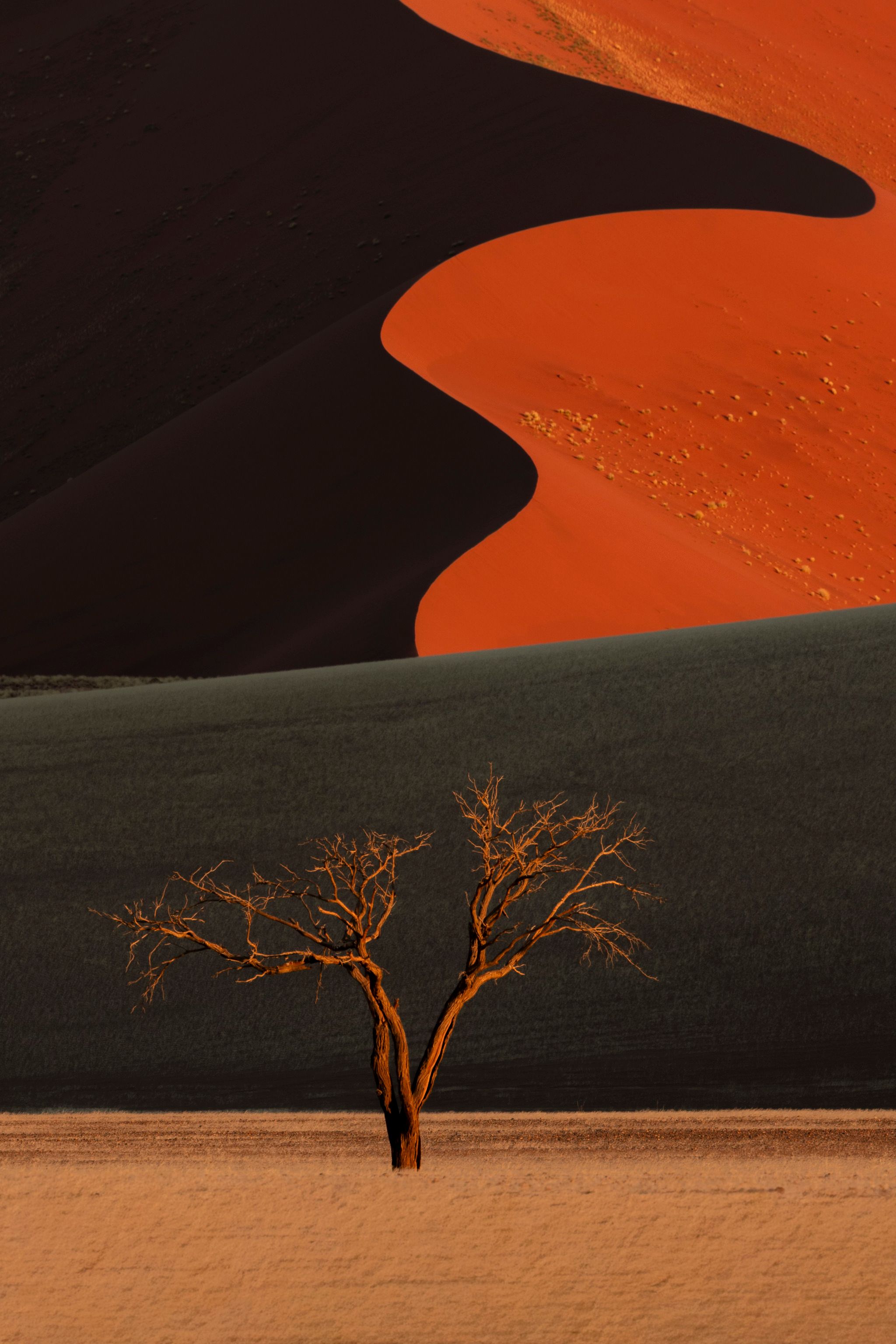 Squiggle dune