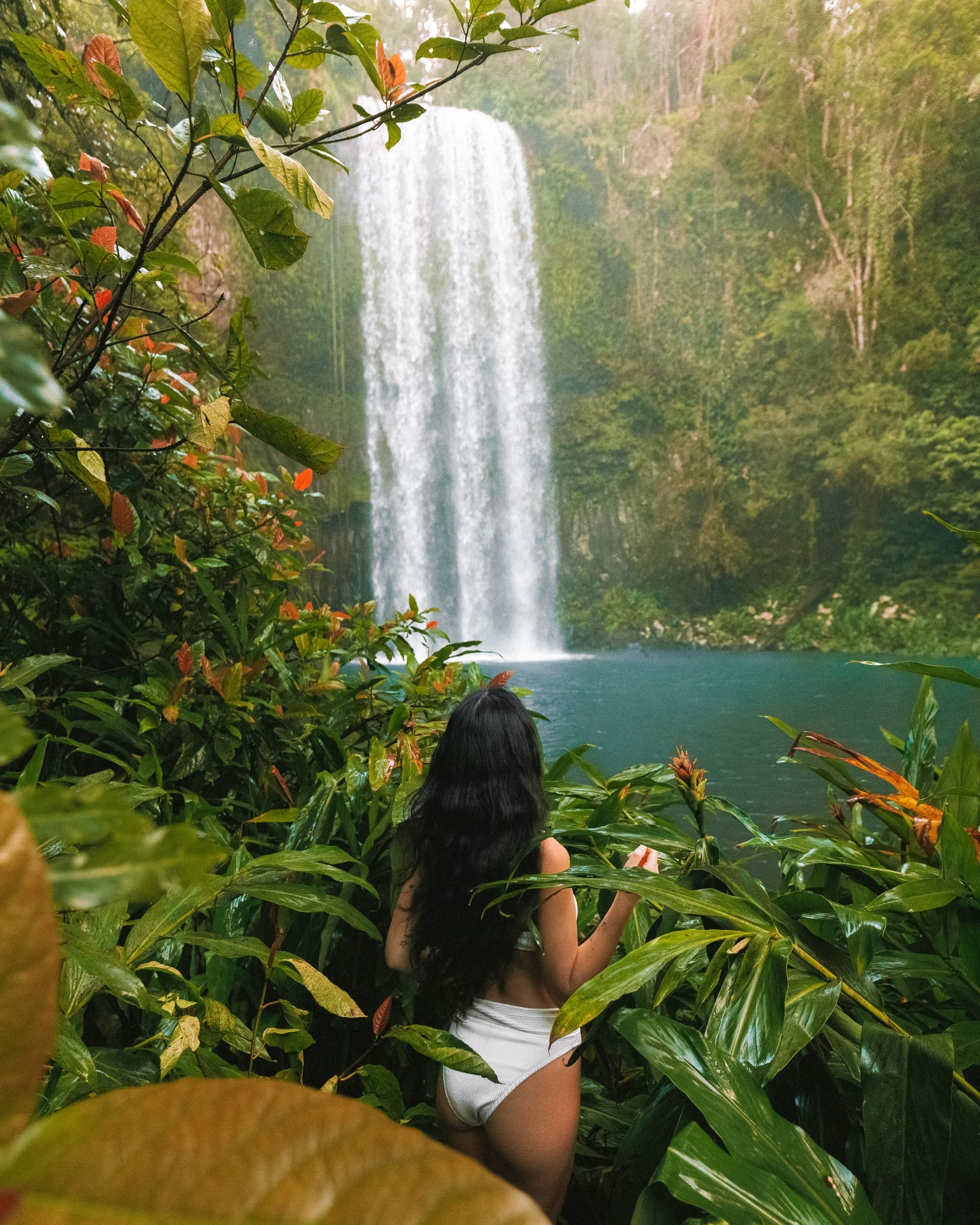Millaa Millaa Falls
