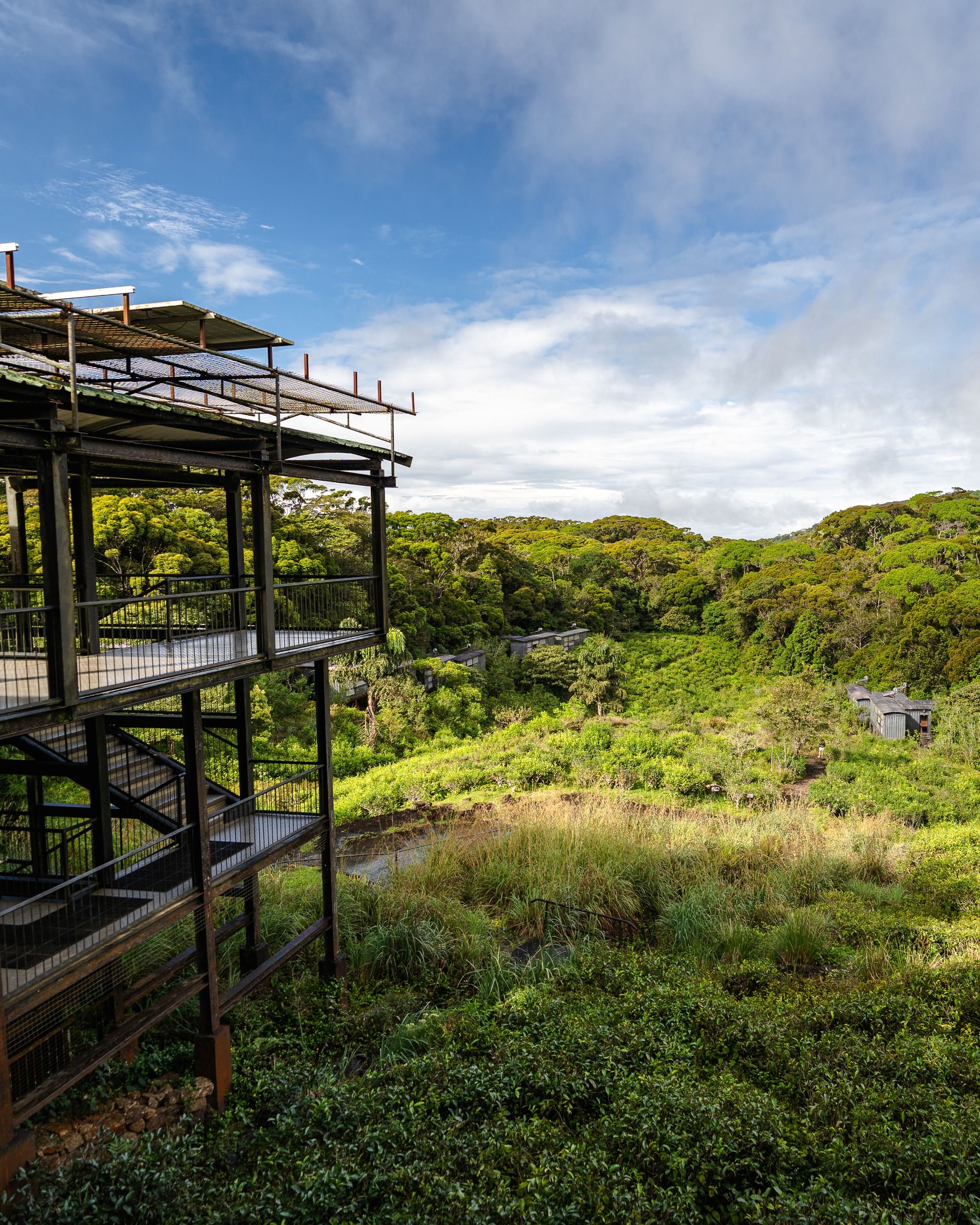 The Rainforest Ecolodge - Sinharaja