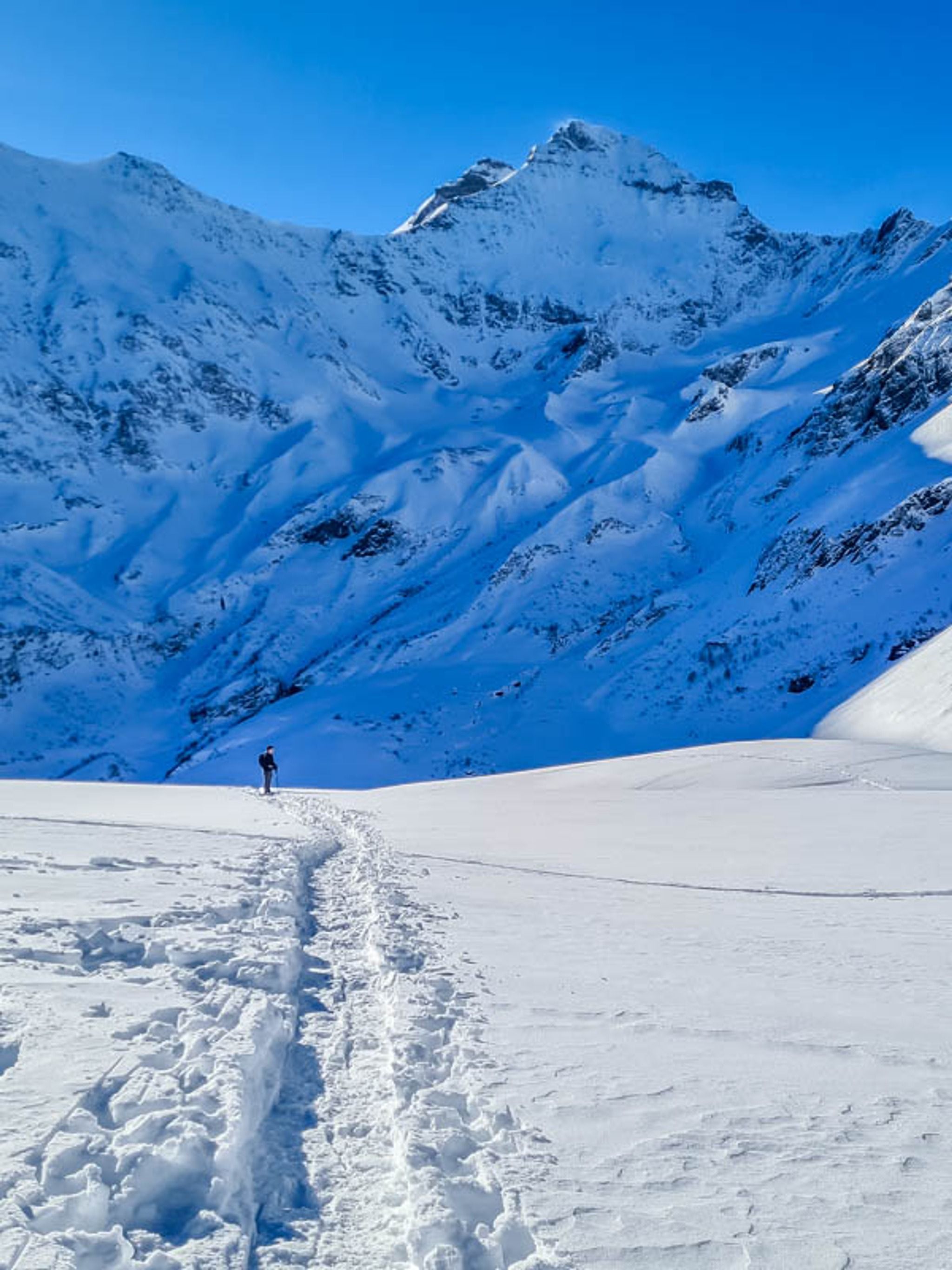 Elm Obererbs Snowshoe Trail