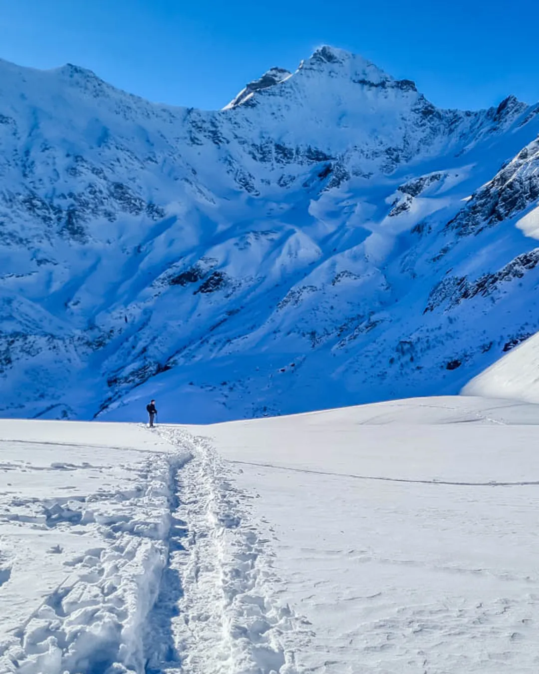 Elm Obererbs Snowshoe Trail