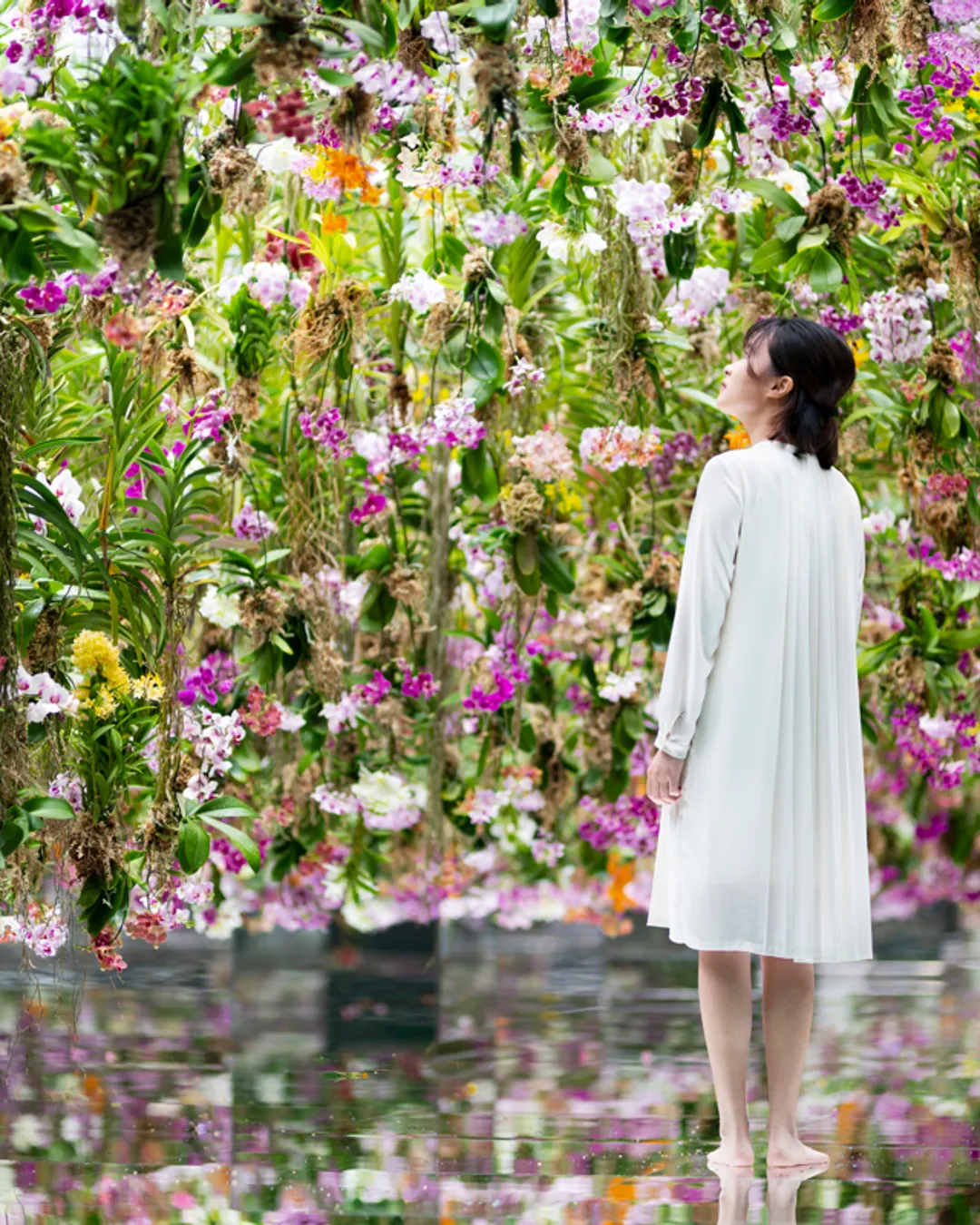 teamLab Planets TOKYO DMM