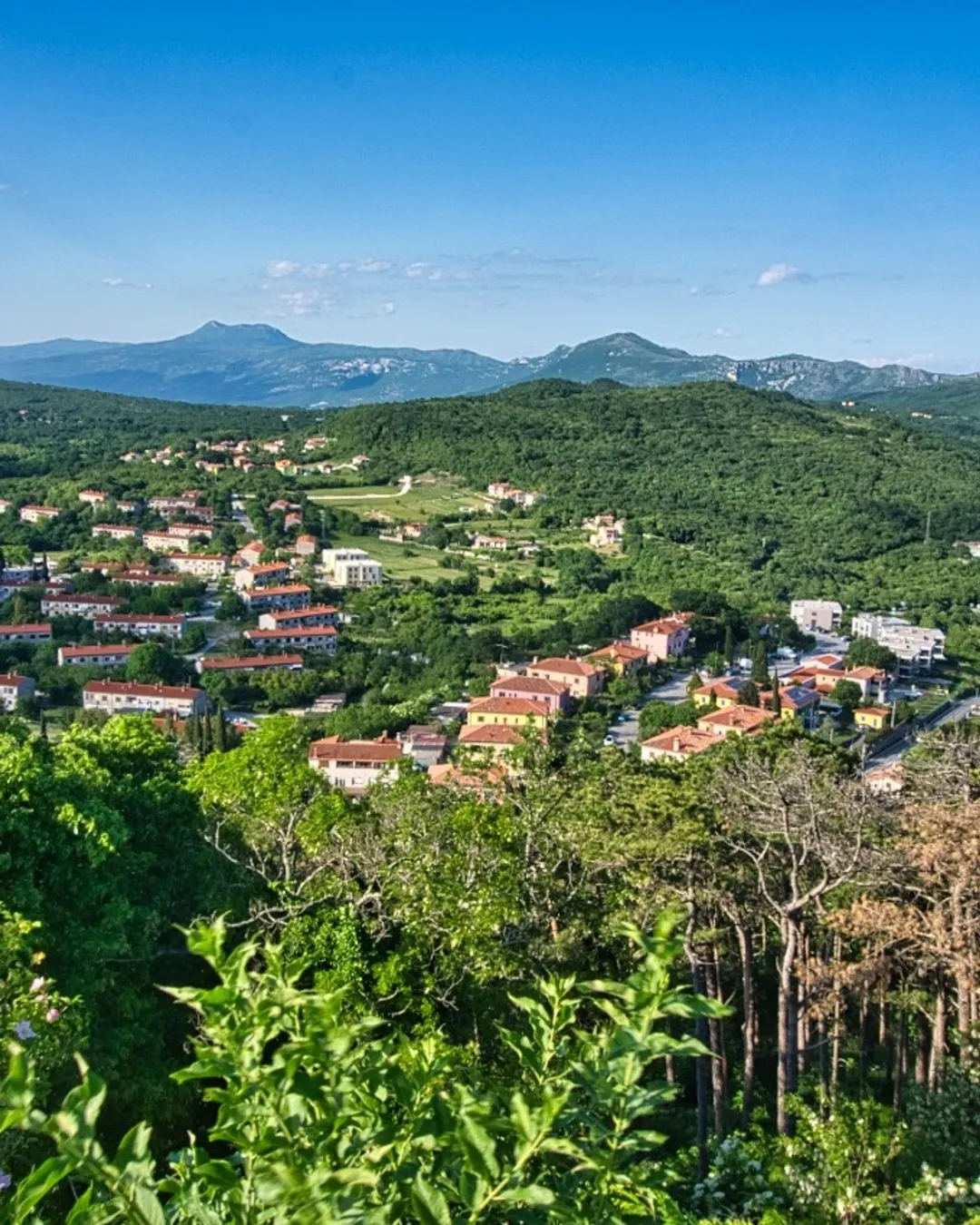 Vidikovac Fortica