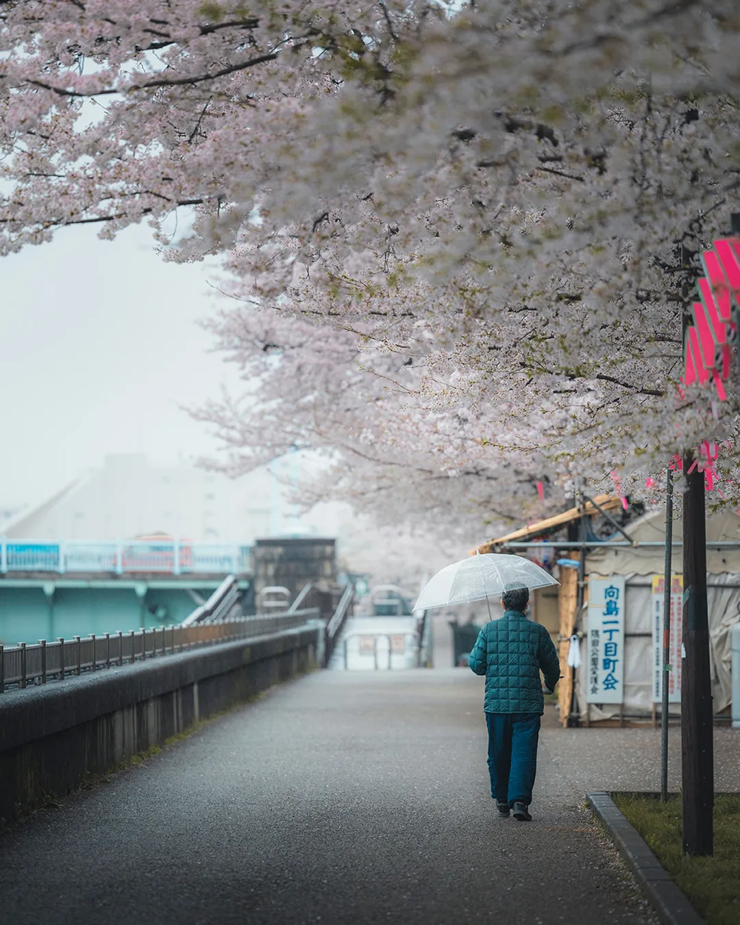 Sumida - Sumida Park East