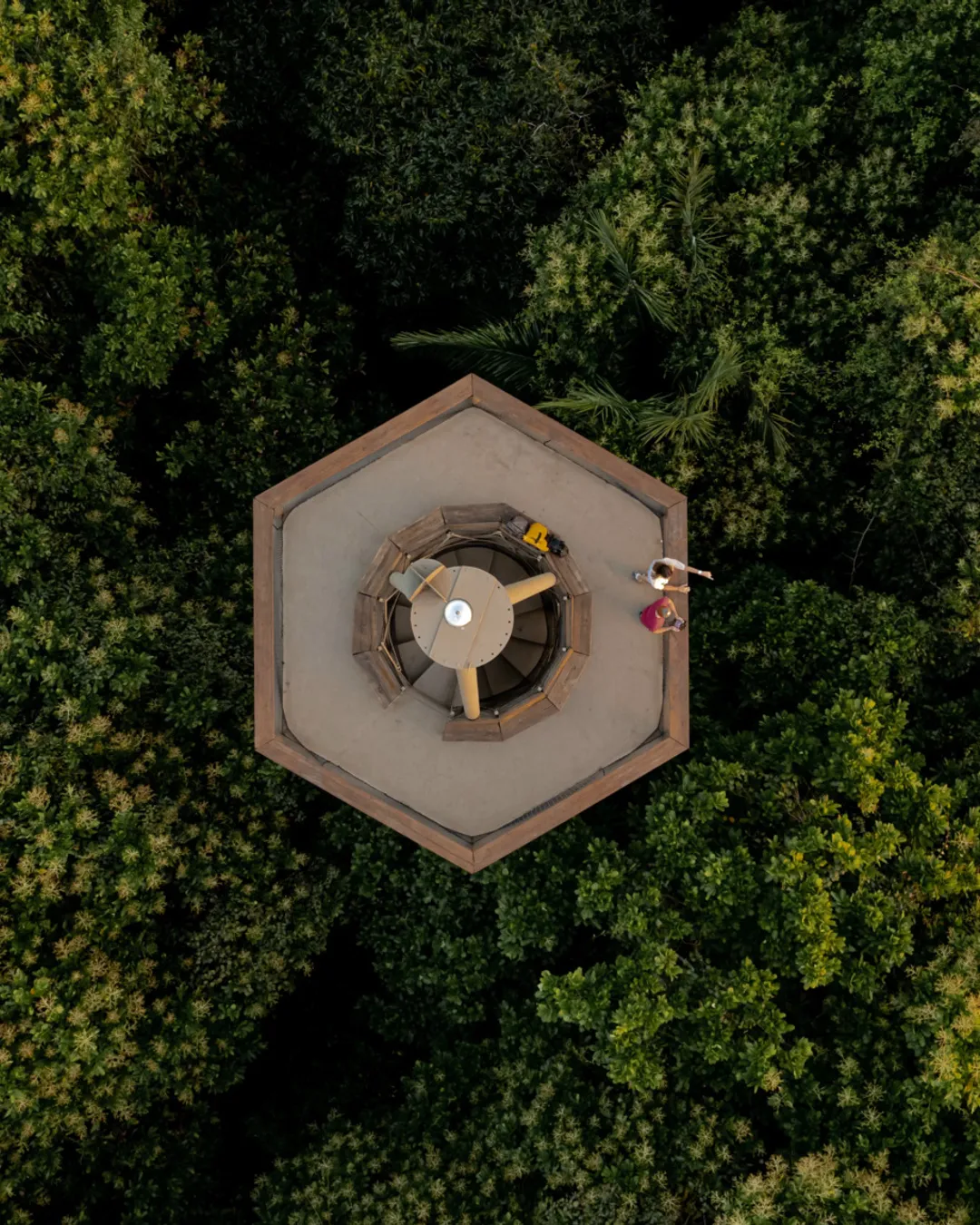 Panama Rainforest Discovery Center