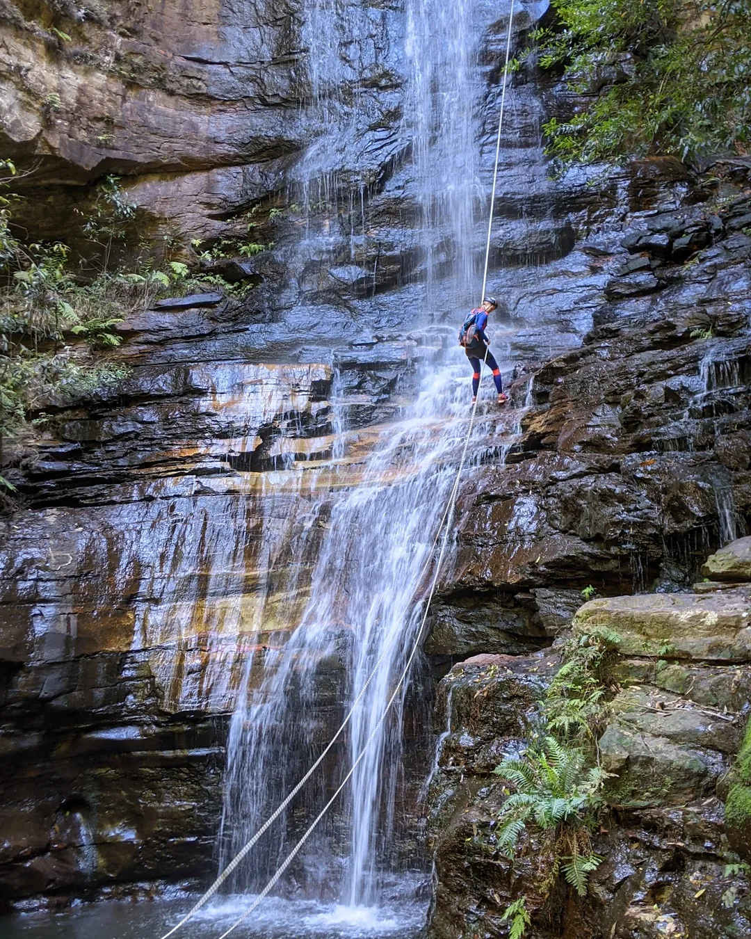 Wentworth Falls