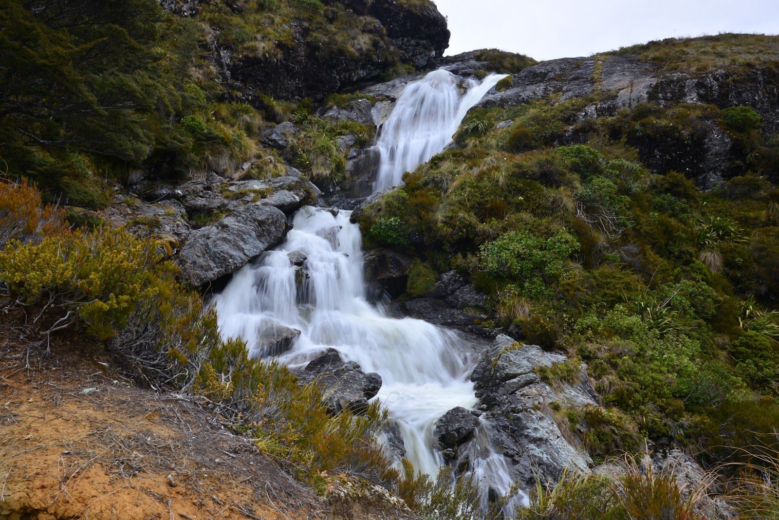 Routeburn Falls
