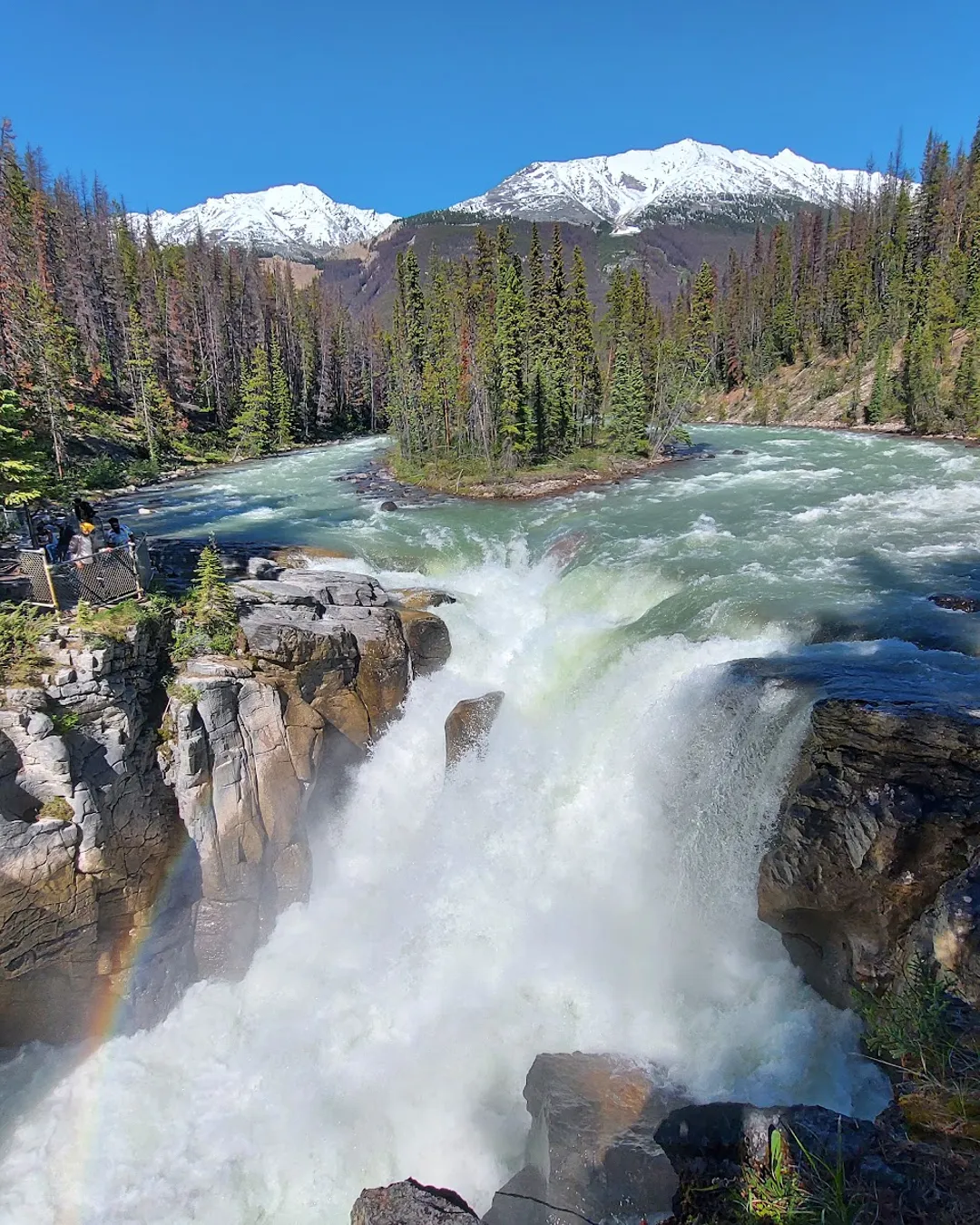 Sunwapta Falls