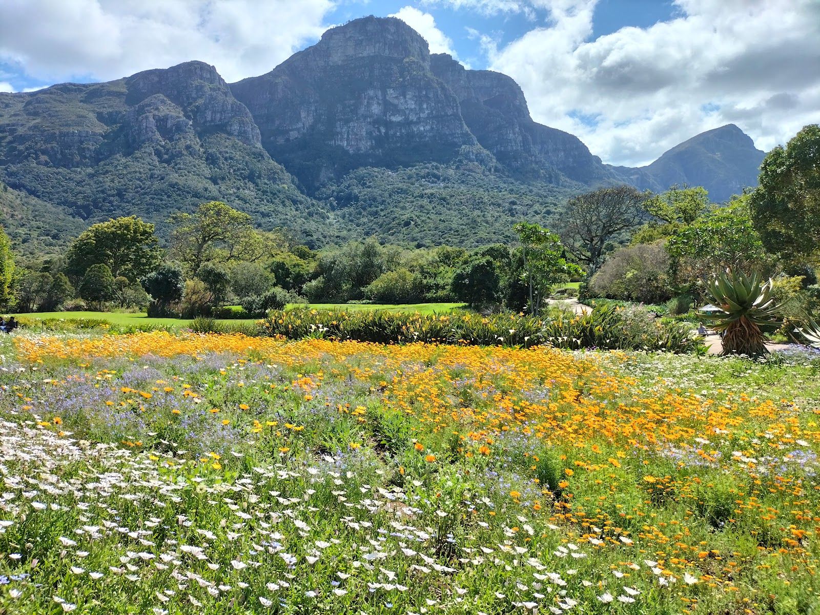 Kirstenbosch National Botanical Garden