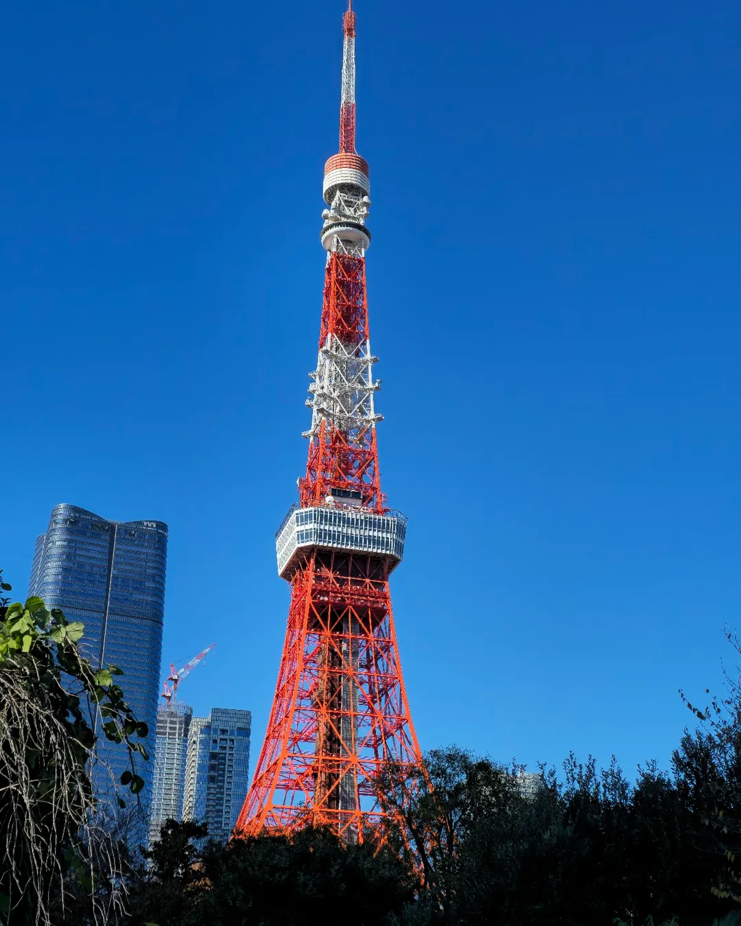 Tokyo Tower - Tokyo, Kyoto, Osaka, Mt Fuji, Shirakawago
