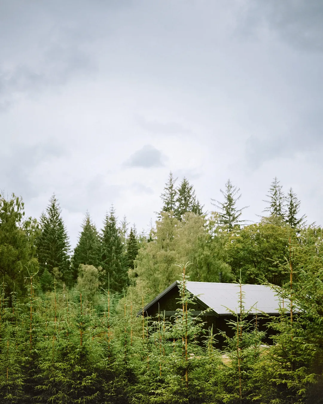 Glen Glack Cabins, Dunkeld