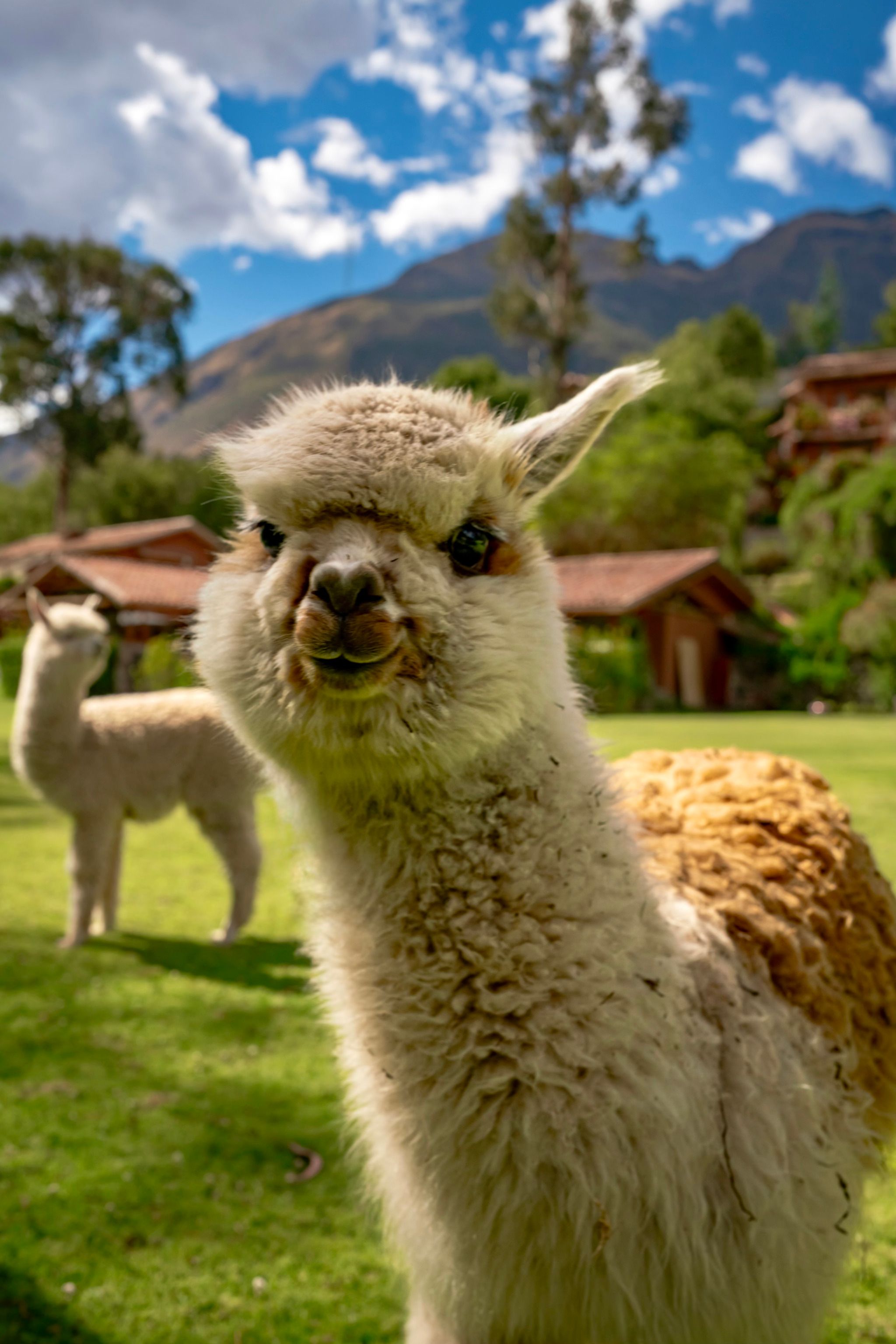 Sacred Valley
