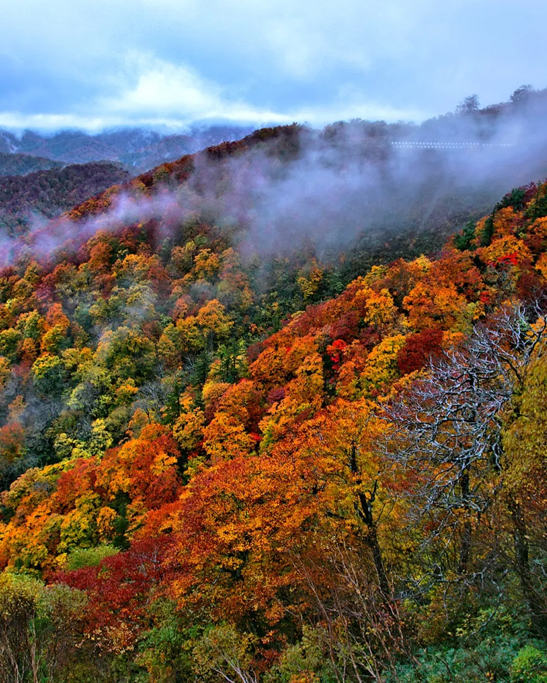 Nishi Azuma Sky Valley ( scenic drive road)