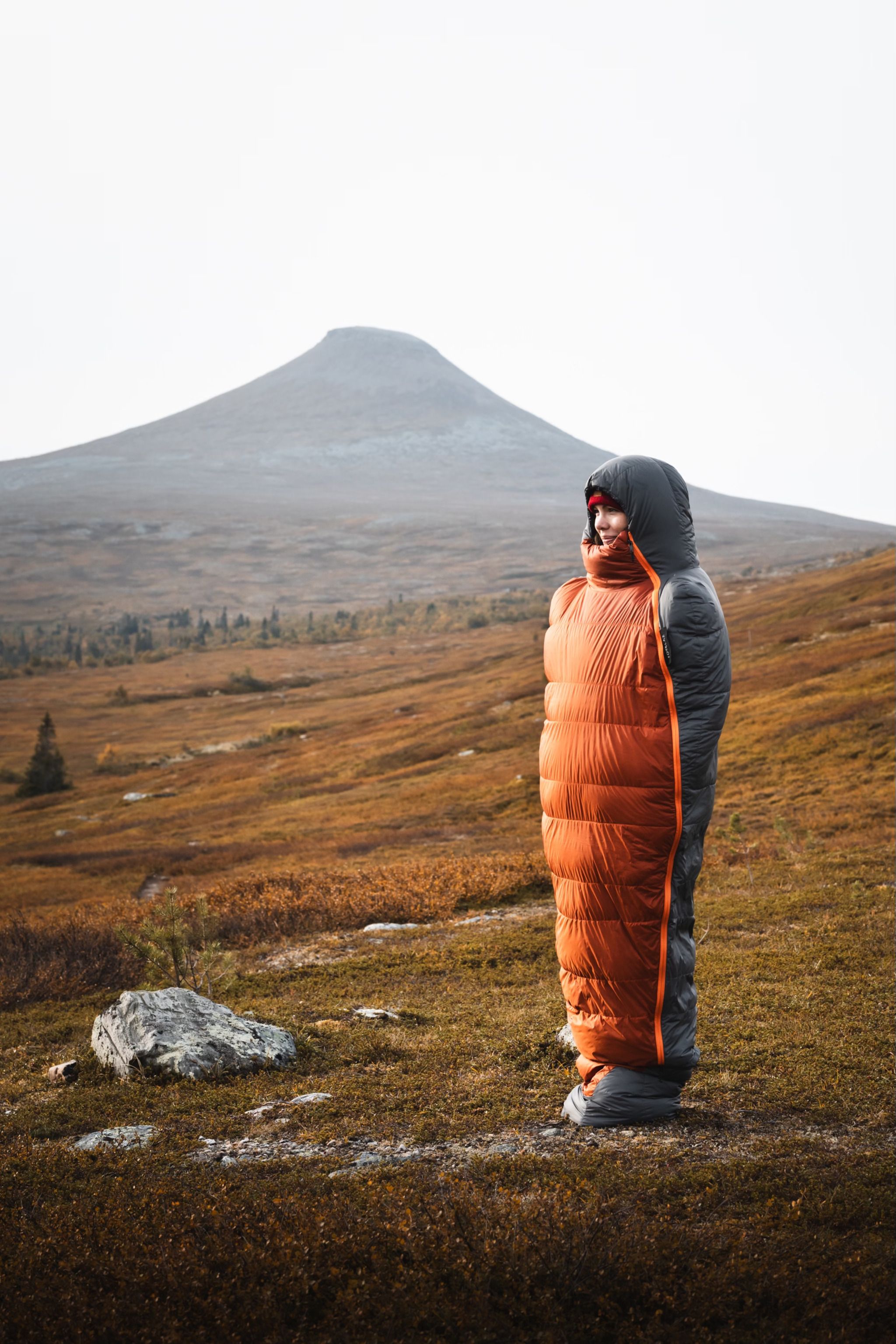 Städjan-Nipfjället Nature Reserve