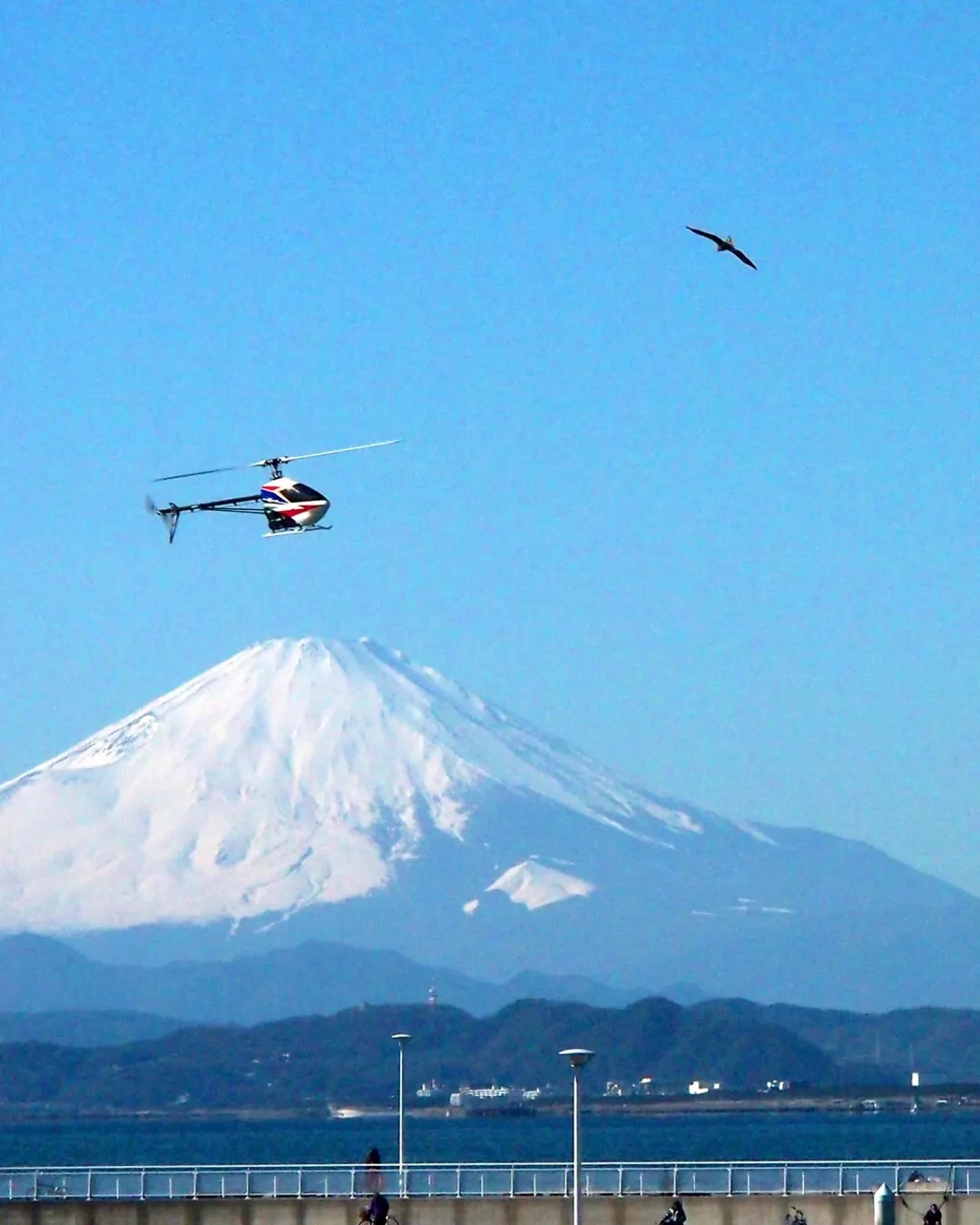 Tokyo to Mt. Fuji Helicopter Tour