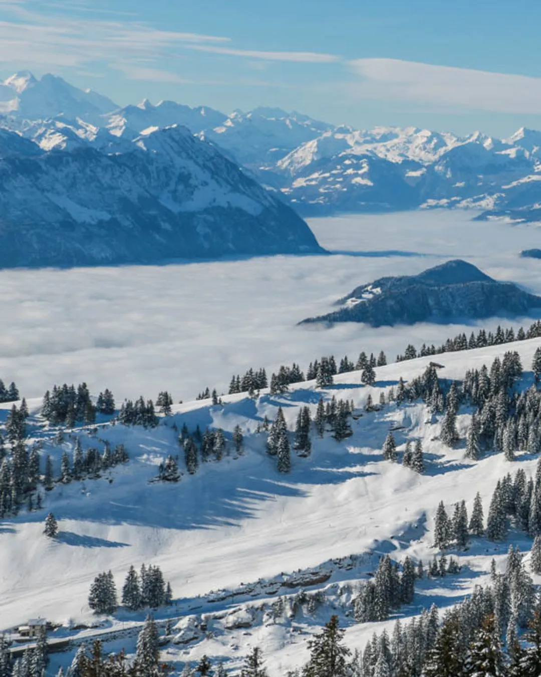 Mt Rigi Viewpoint