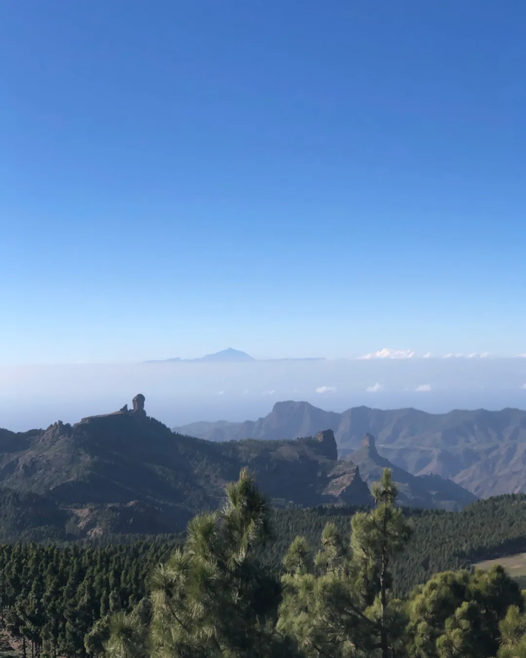 Pico de las Nieves