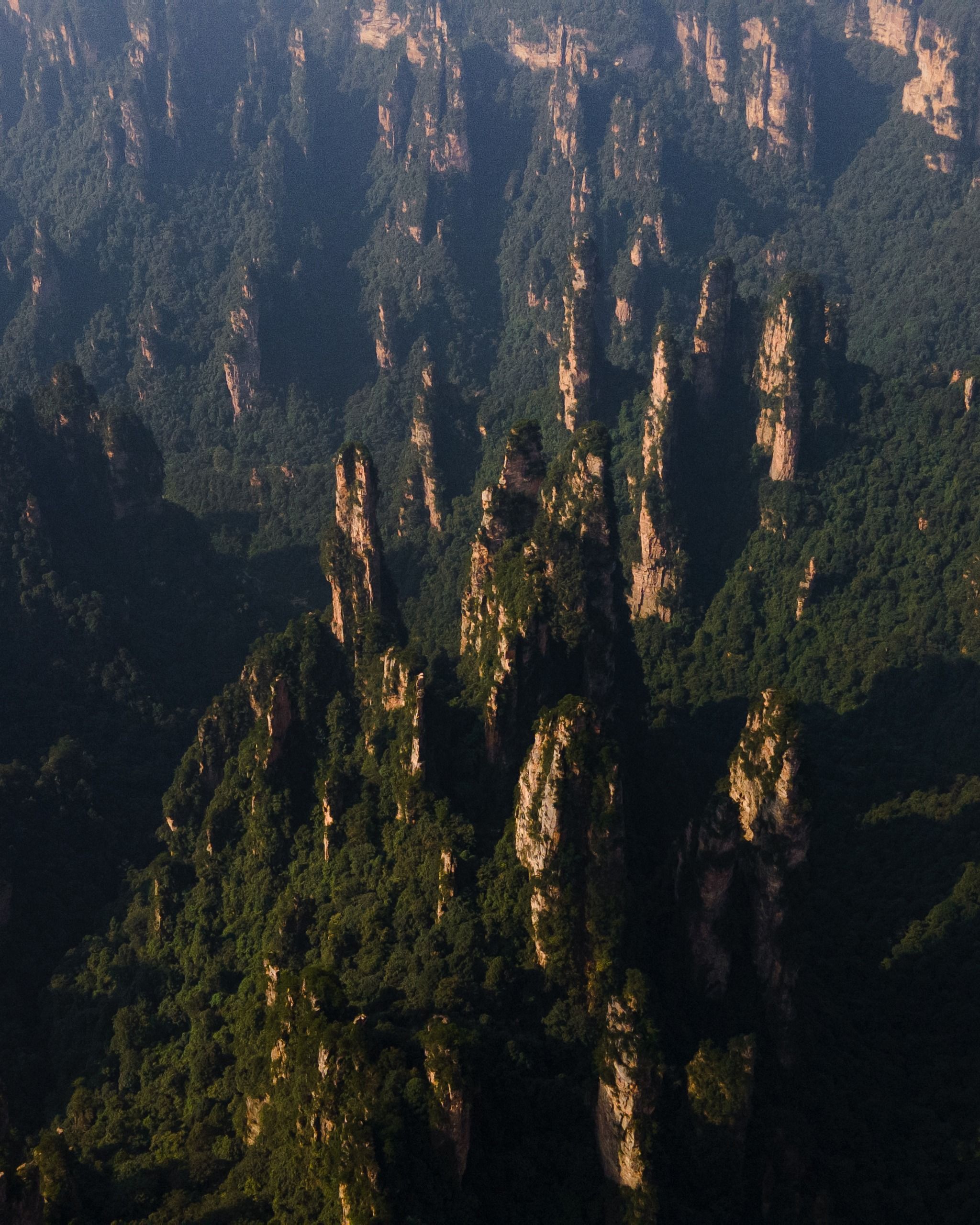 Zhangjiajie National Forest Park (湖南张家界国家森林公园)