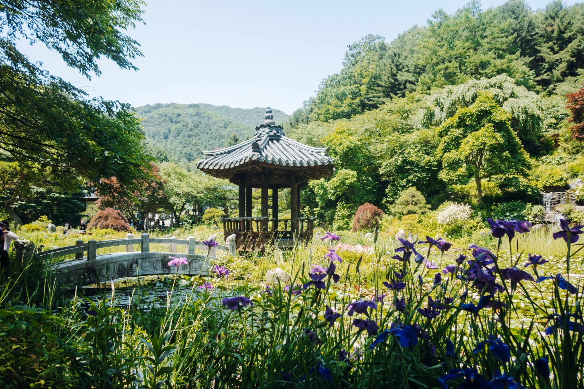 Garden of Morning Calm (아침고요수목원)