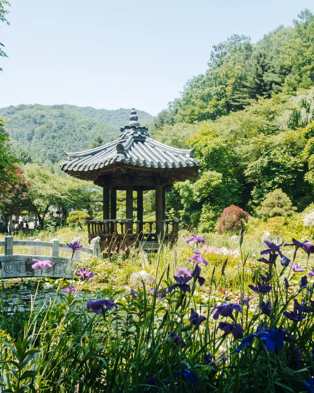 Garden of Morning Calm (아침고요수목원)