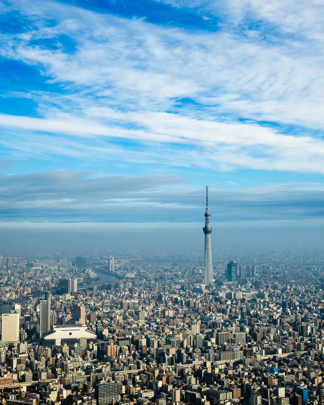 Tokyo Heli Port