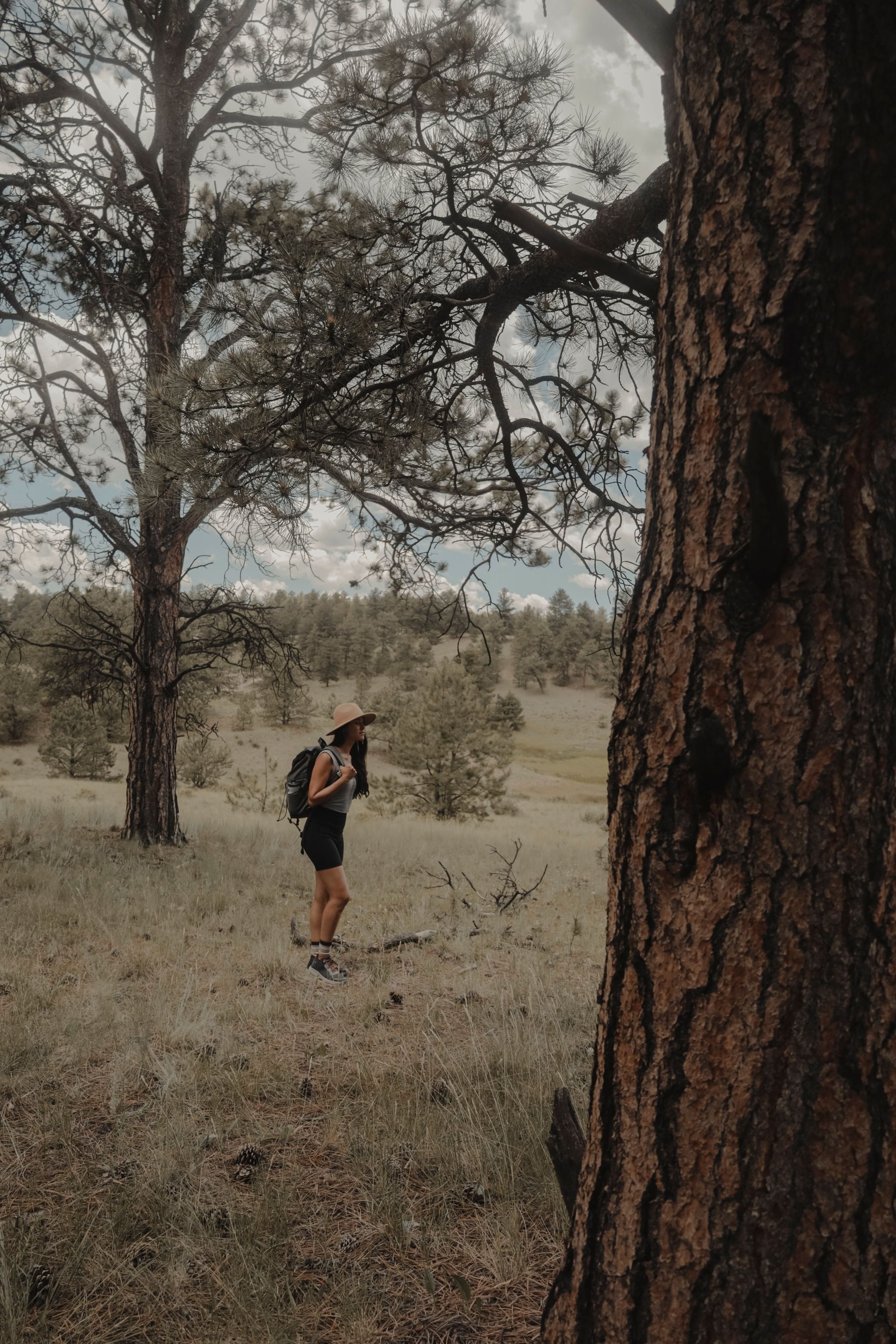 Florissant Fossil Beds National Monument