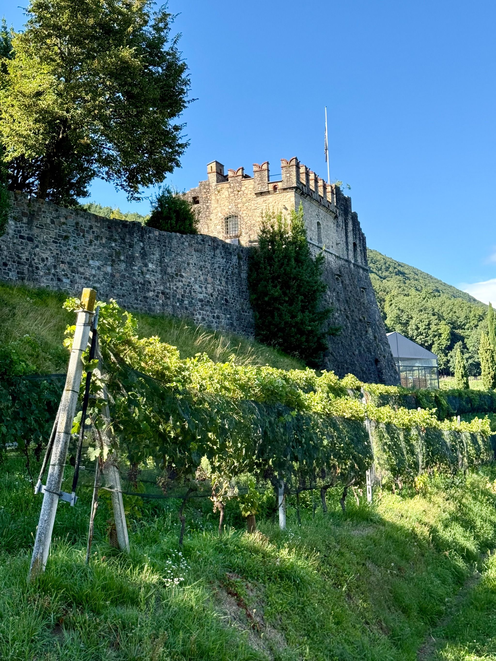 Tenuta Castello di Morcote