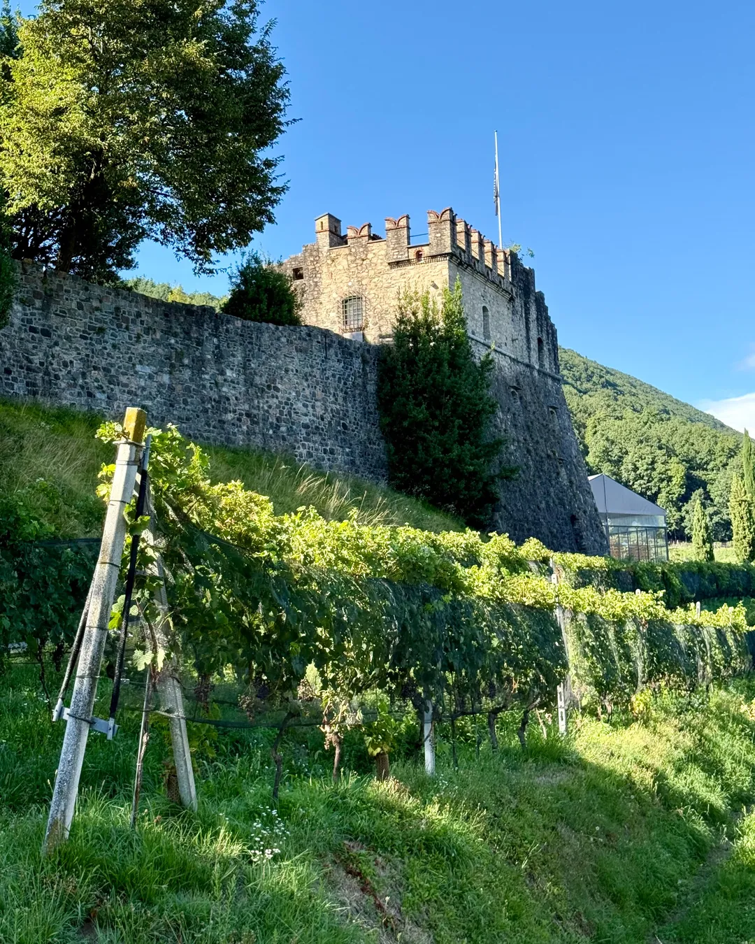 Tenuta Castello di Morcote