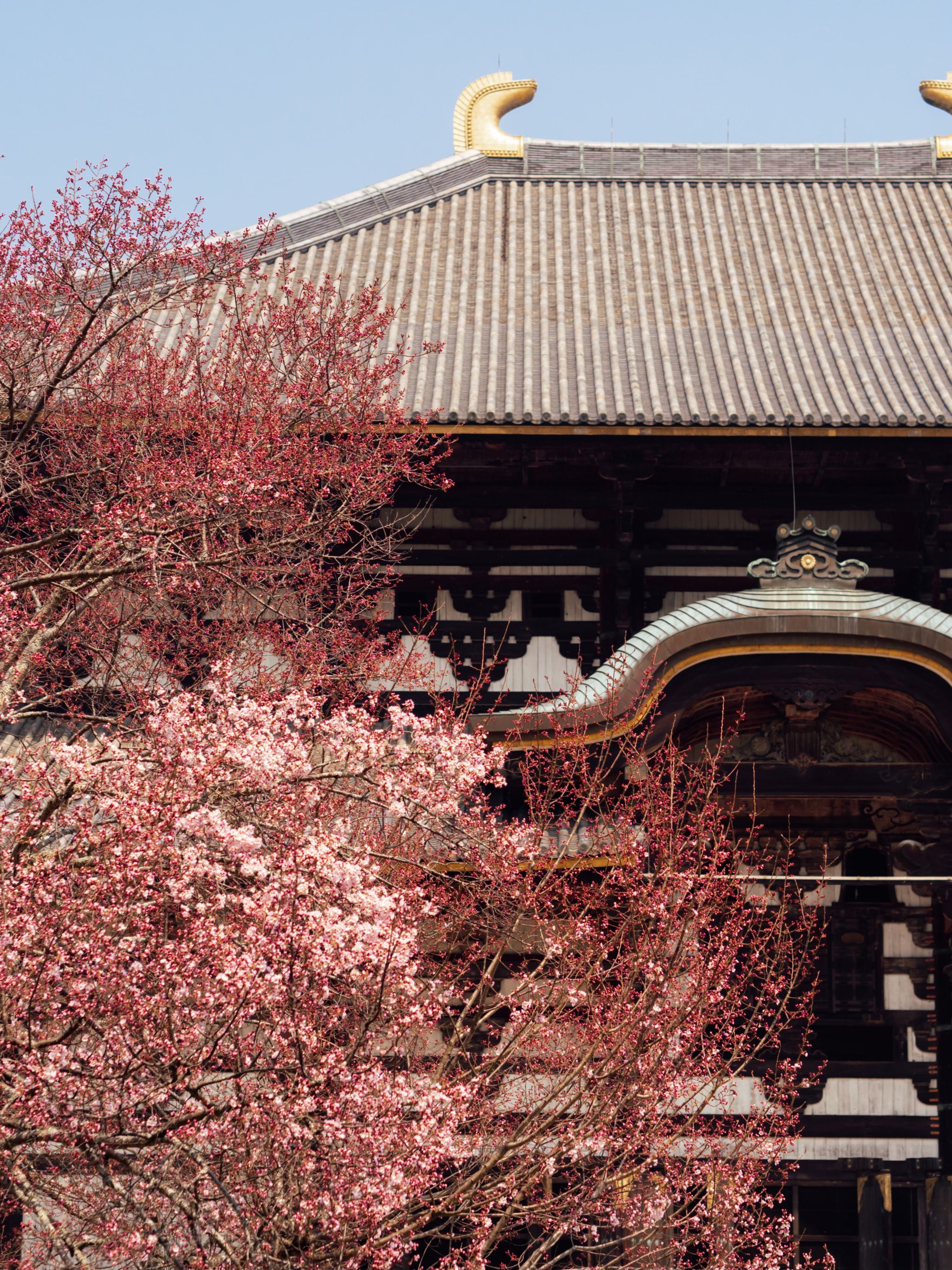 Tōdai-ji