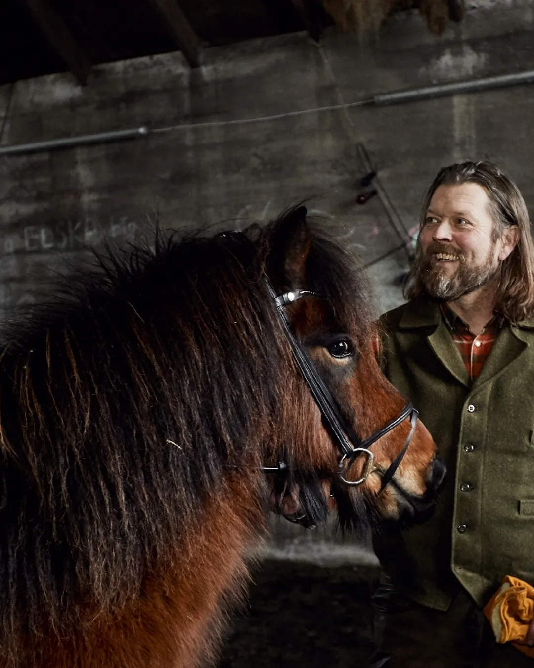 Mr Iceland - horseback riding tours in Iceland 