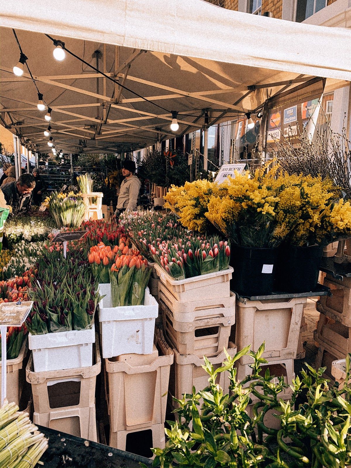 Columbia Road Flower Market