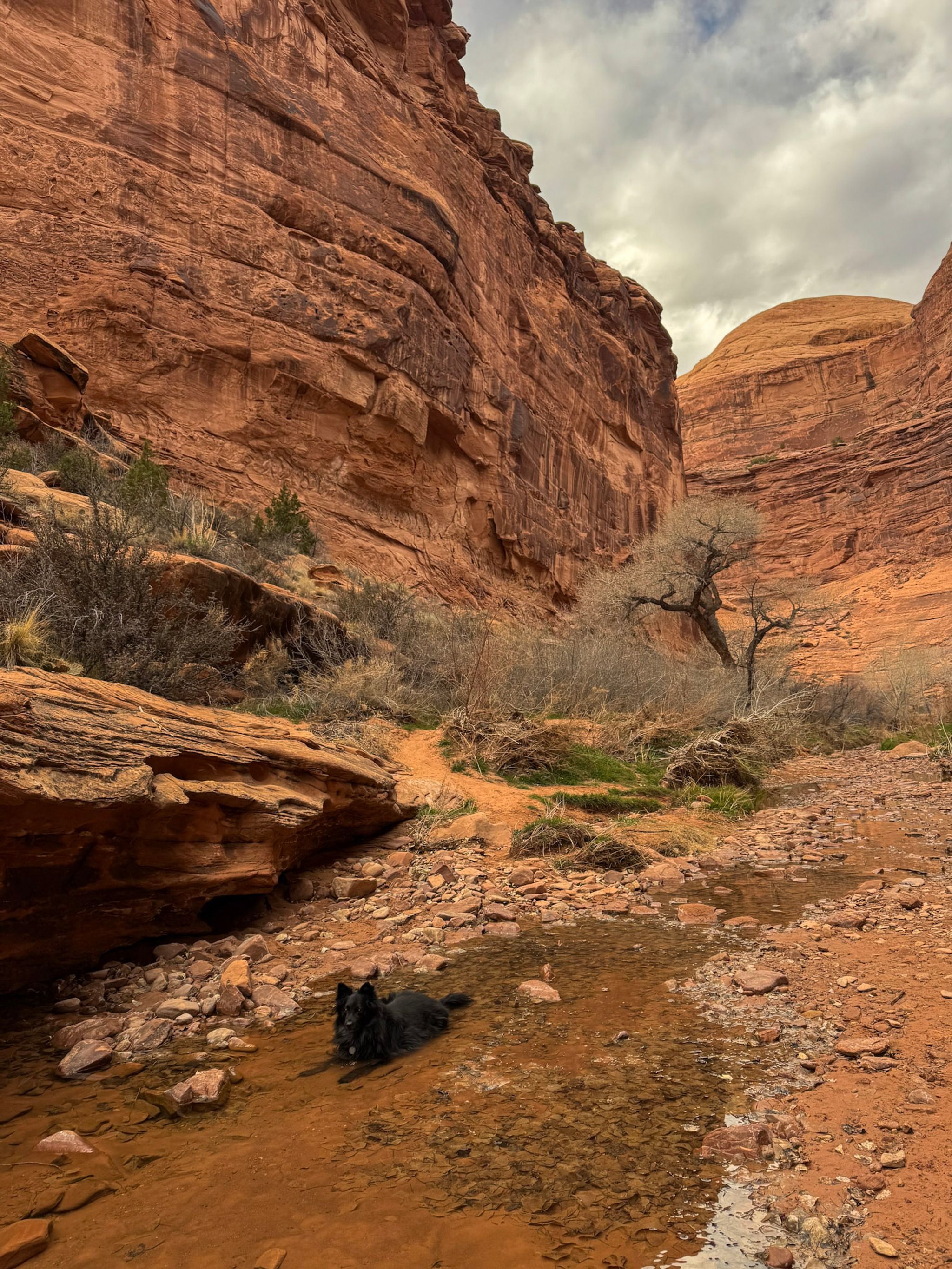 Hunter Canyon Trailhead