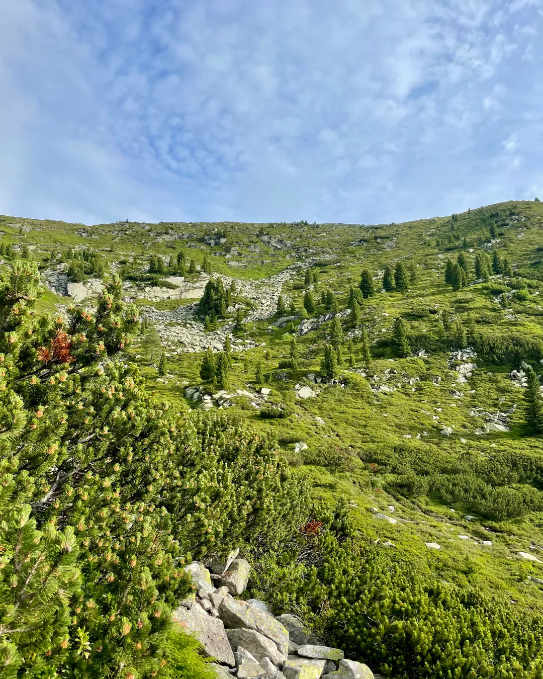 Olpererhütte Hike Trailhead