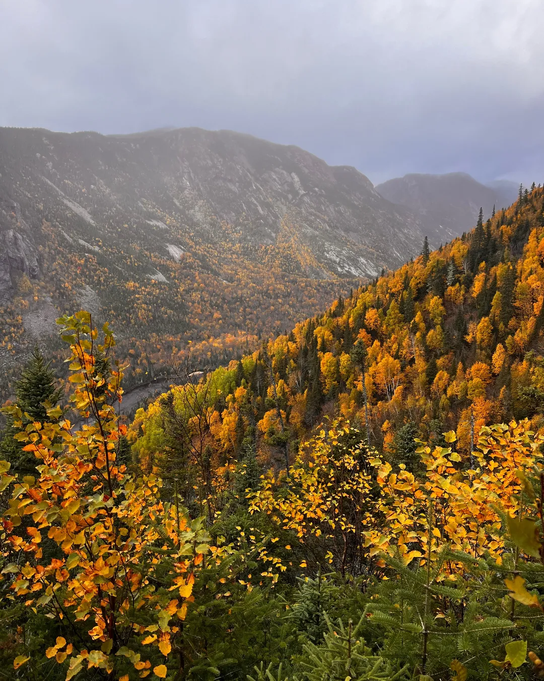 Parc national des Hautes‑Gorges-de-la-Rivière‑Malbaie