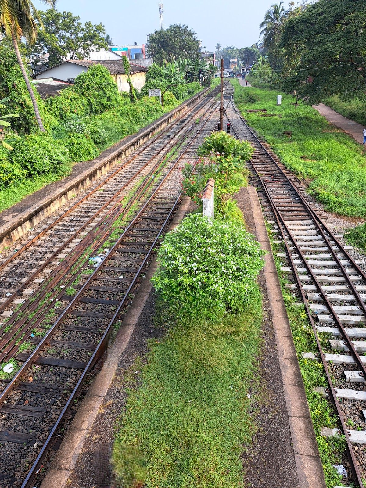 Negombo to Colombo by train