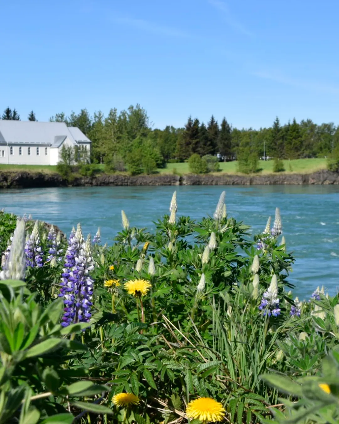 Selfoss